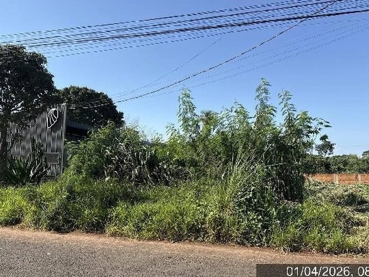 Terreno - Campo Grande, MS - foto 1