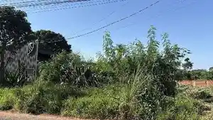 Terreno - Campo Grande, MS