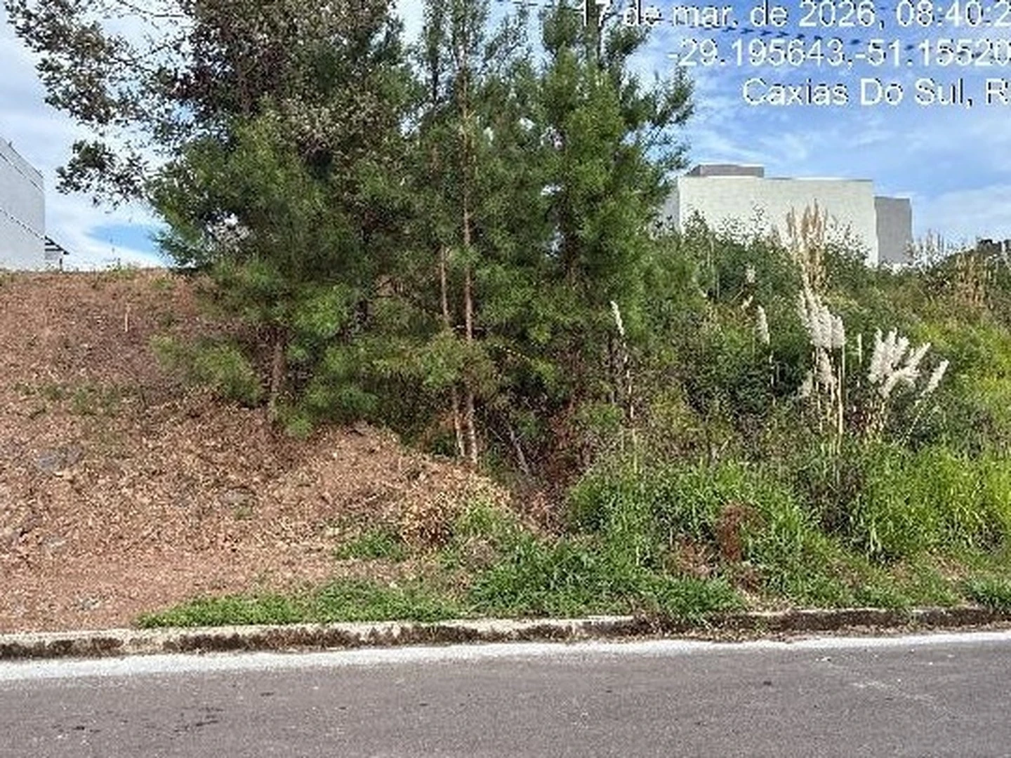Terreno - Caxias Do Sul, RS - foto 1