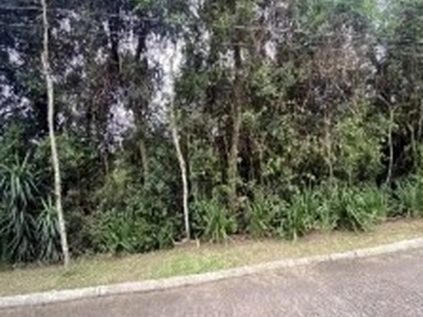 Terreno - Viamao, RS - foto 1