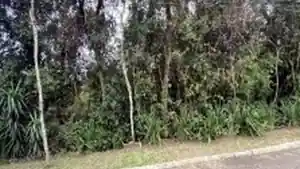 Terreno - Viamao, RS