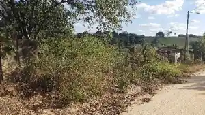 Terreno - Lagoa Do Carro, PE