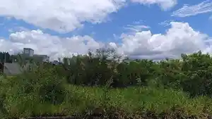 Terreno - Capivari De Baixo, SC