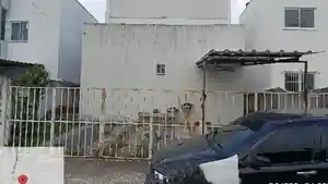 Apartamento - Igarassu, PE