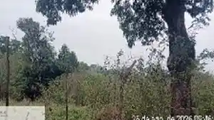 Terreno - Itaguai, RJ
