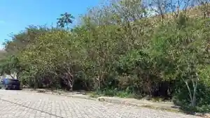 Terreno - Caraguatatuba, SP