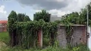 Casa - Itaituba, PA