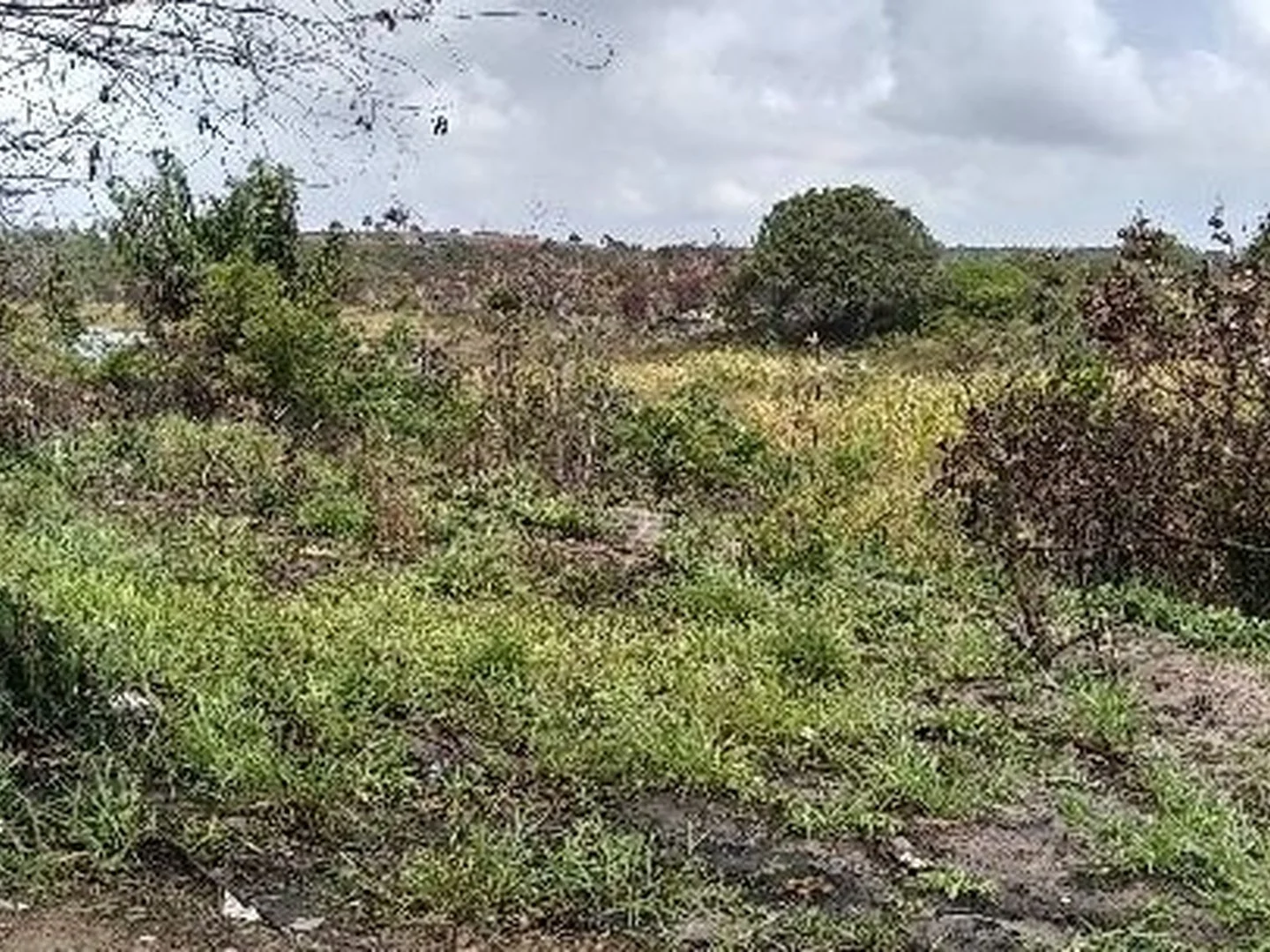Terreno - Camacari, BA - foto 1