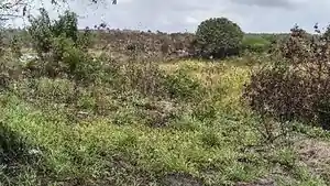 Terreno - Camacari, BA