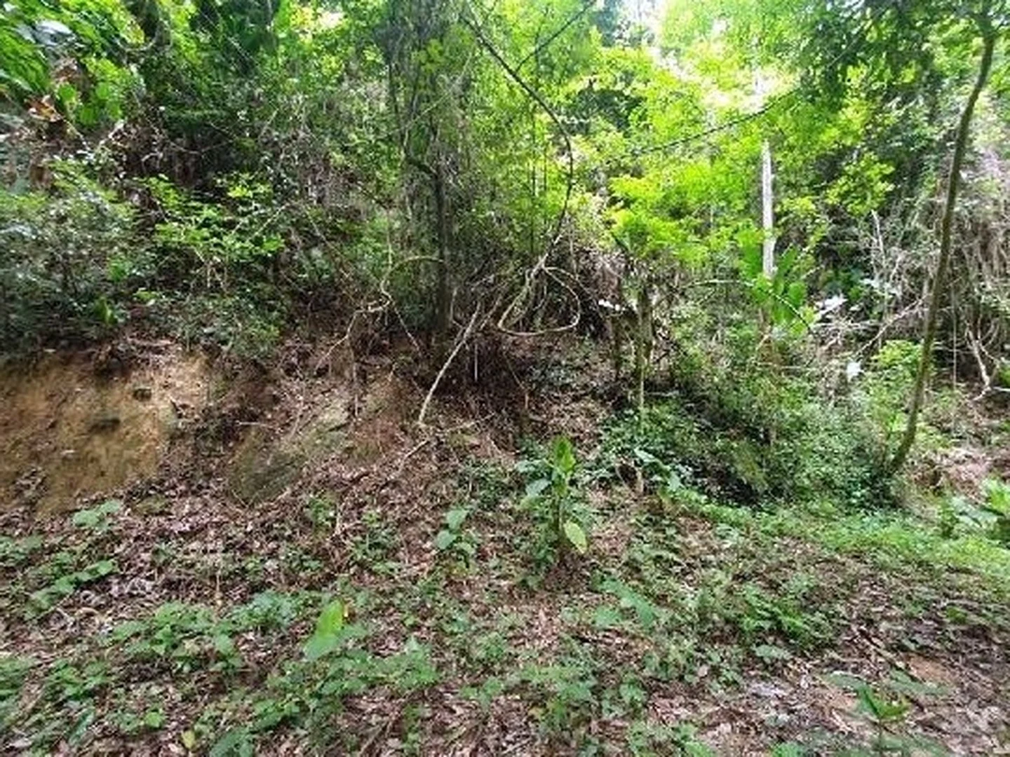 Terreno - Niteroi, RJ - foto 1