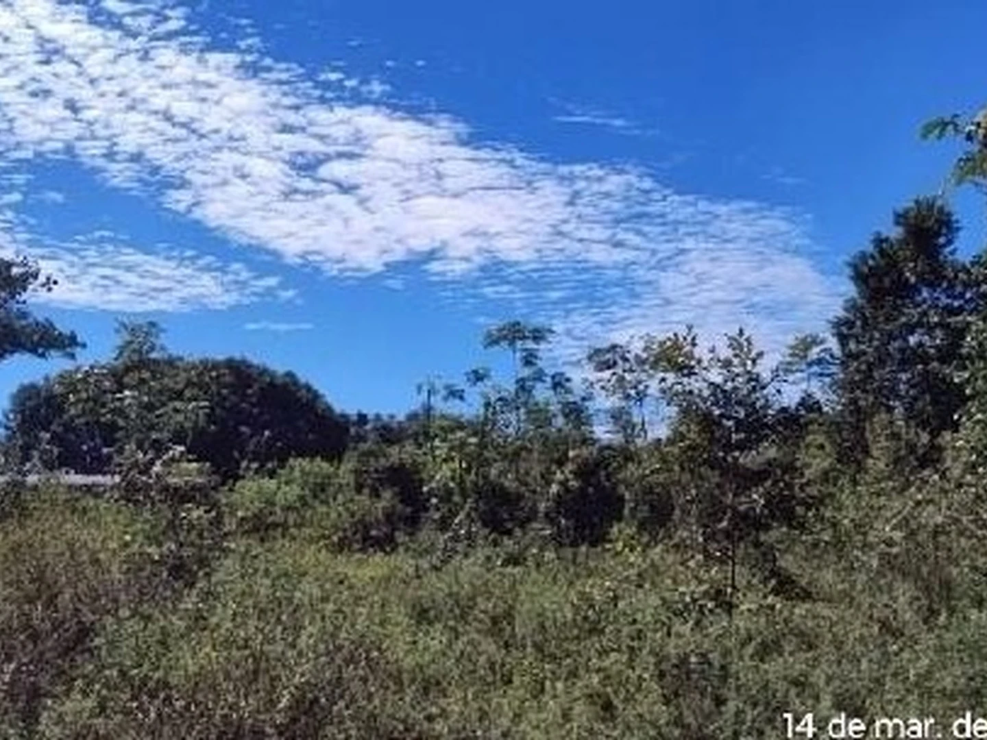 Terreno - Iranduba, AM - foto 1