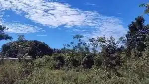 Terreno - Iranduba, AM
