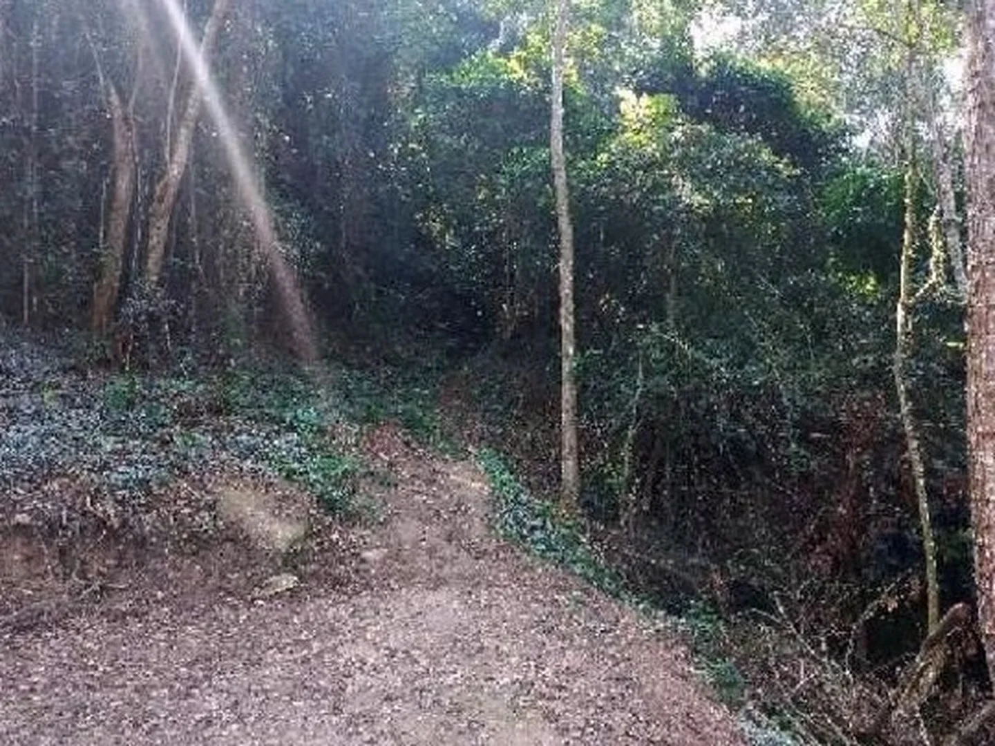 Terreno - Niteroi, RJ - foto 1