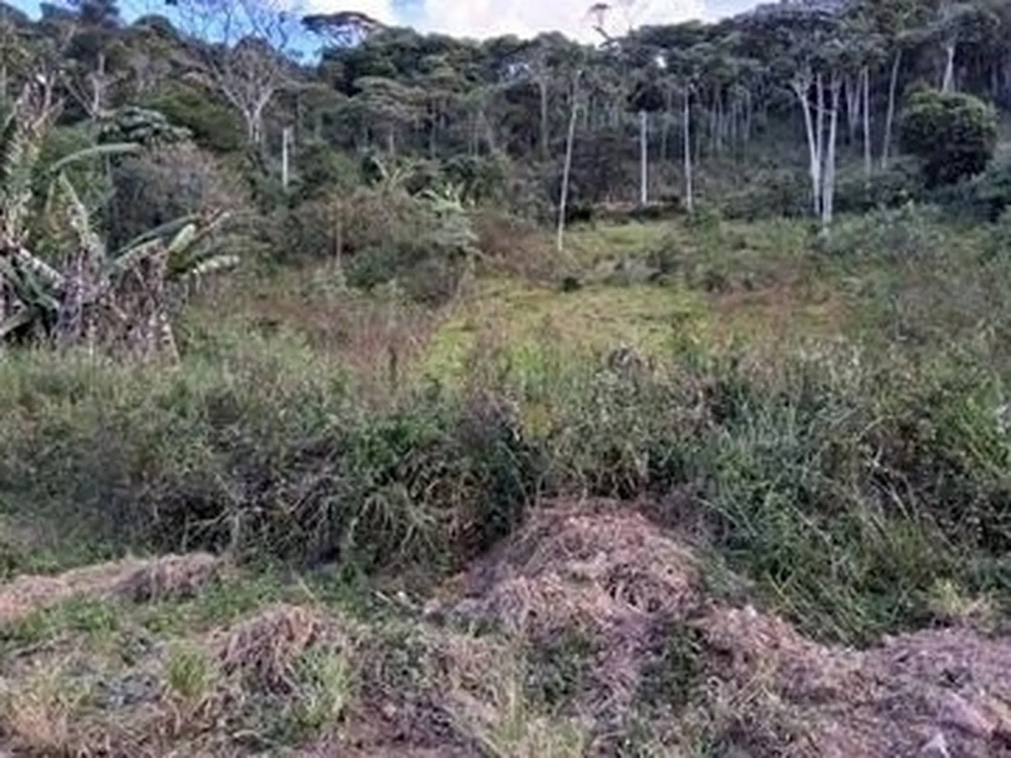 Terreno - Teresopolis, RJ - foto 1