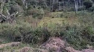 Terreno - Teresopolis, RJ