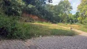 Terreno - Soledade, RS