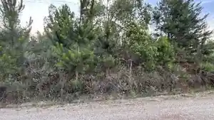Terreno - Eldorado Do Sul, RS
