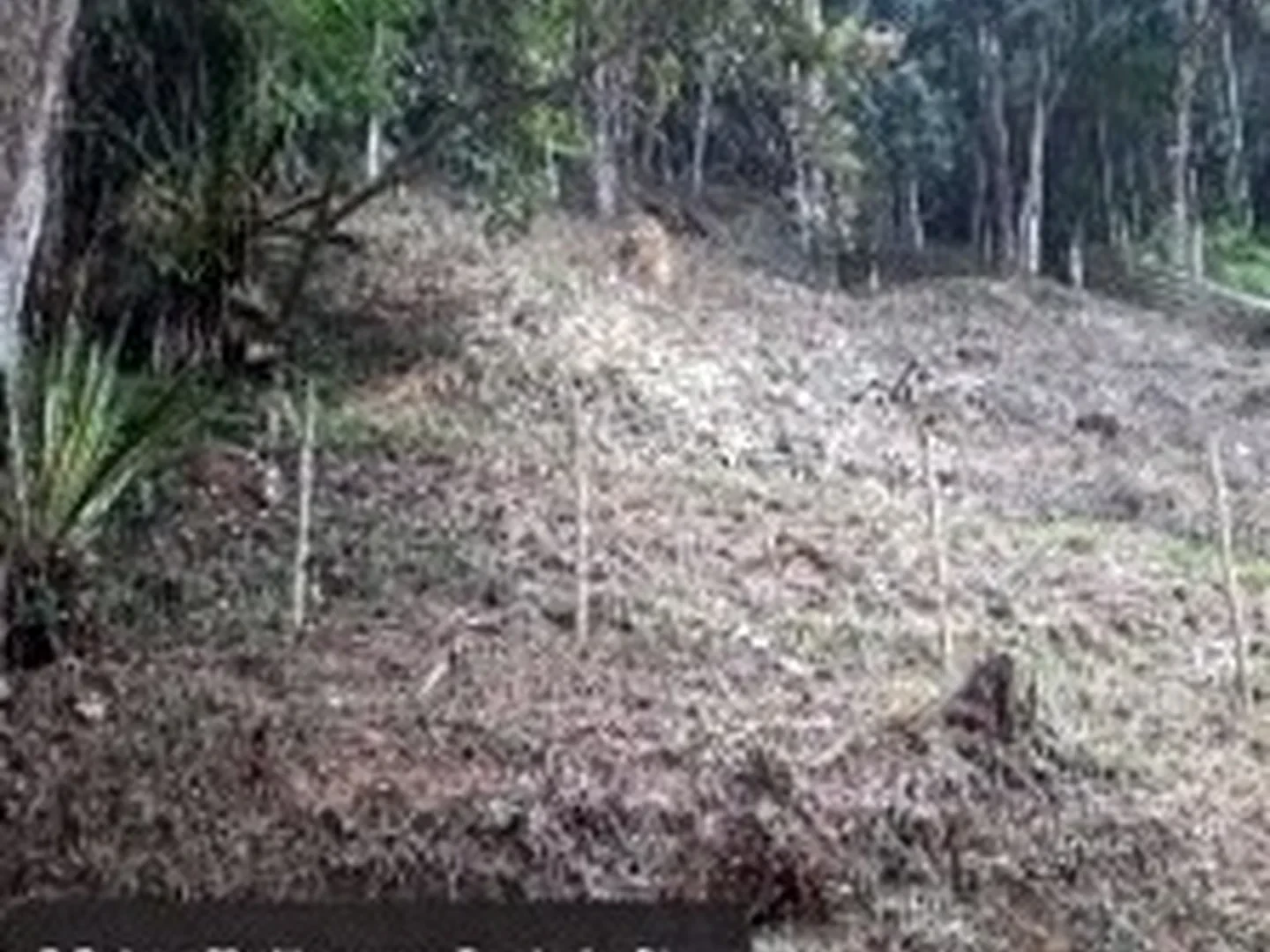 Terreno - Teresopolis, RJ - foto 1