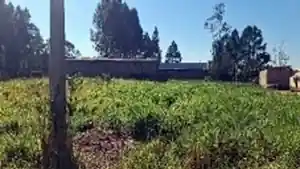 Terreno - Osorio, RS