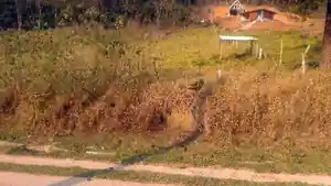 Terreno - Teresopolis, RJ