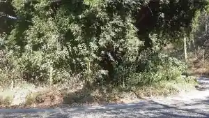Terreno - Nova Friburgo, RJ