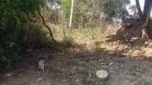 Terreno - Sao Goncalo, RJ