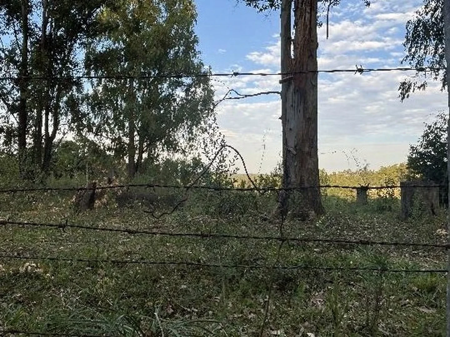 Terreno - Eldorado Do Sul, RS - foto 1