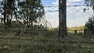 Terreno - Eldorado Do Sul, RS