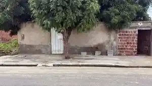 Terreno - Petrolina, PE