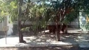 Casa - Caldas Novas, GO