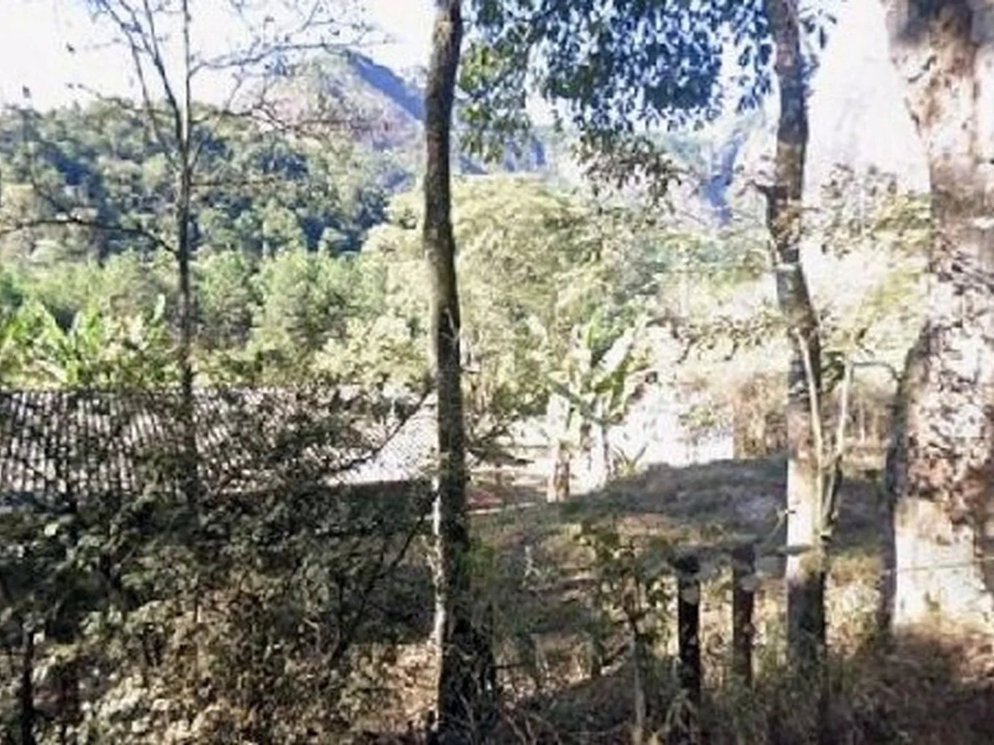 Terreno - Teresopolis, RJ - foto 1