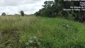Terreno - Pelotas, RS