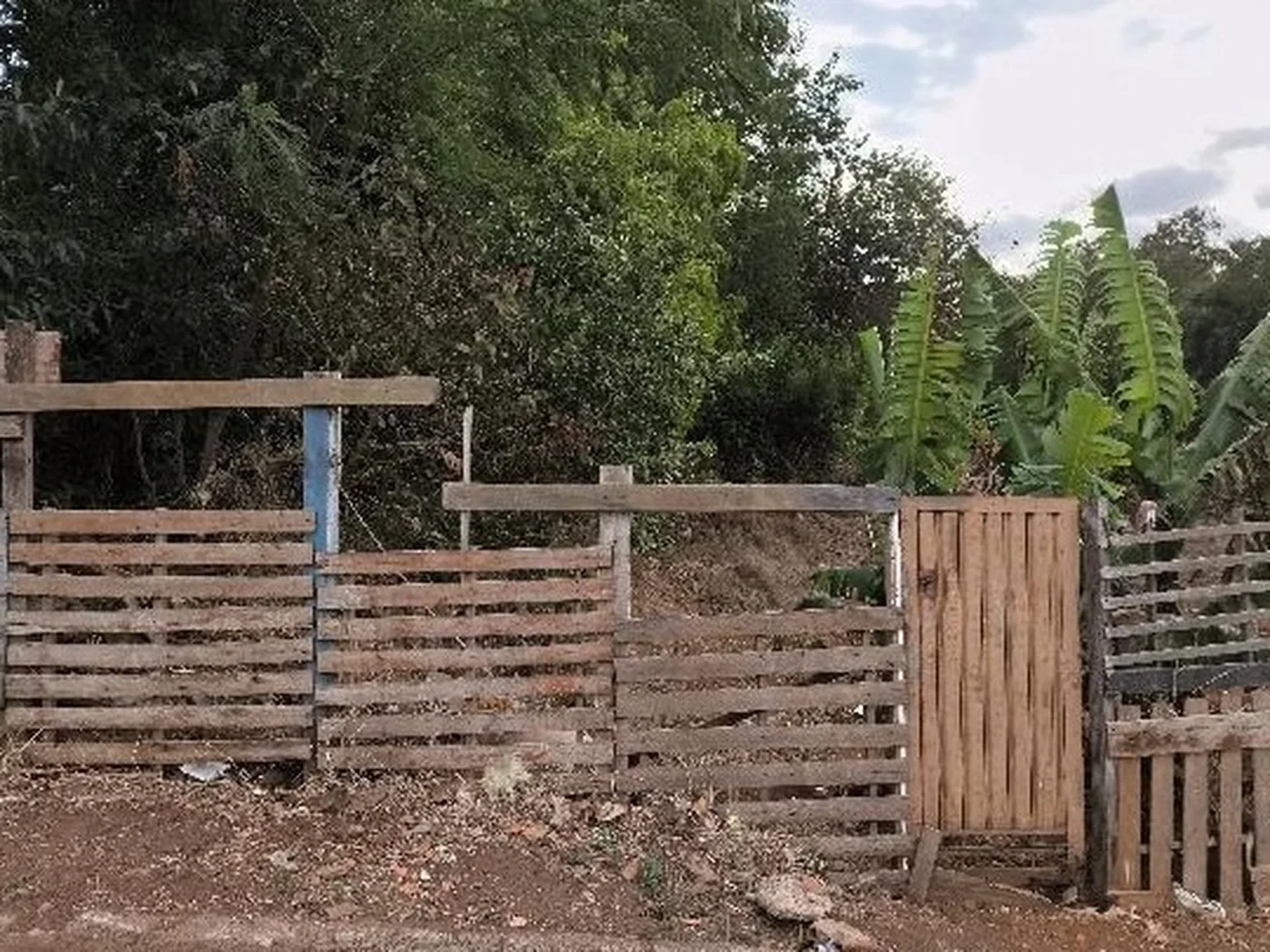 Terreno - Igaracu Do Tiete, SP - foto 1