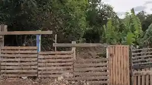 Terreno - Igaracu Do Tiete, SP