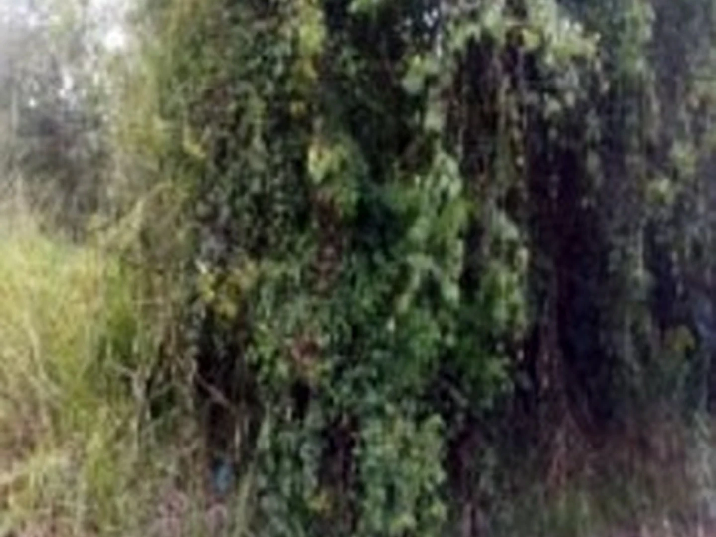 Terreno - Itaborai, RJ - foto 1