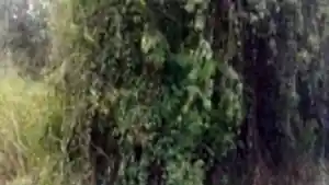 Terreno - Itaborai, RJ