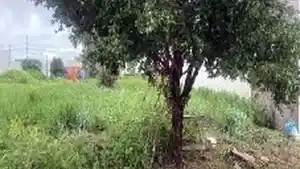 Terreno - Rondonopolis, MT