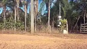 Casa - Caldas Novas, GO