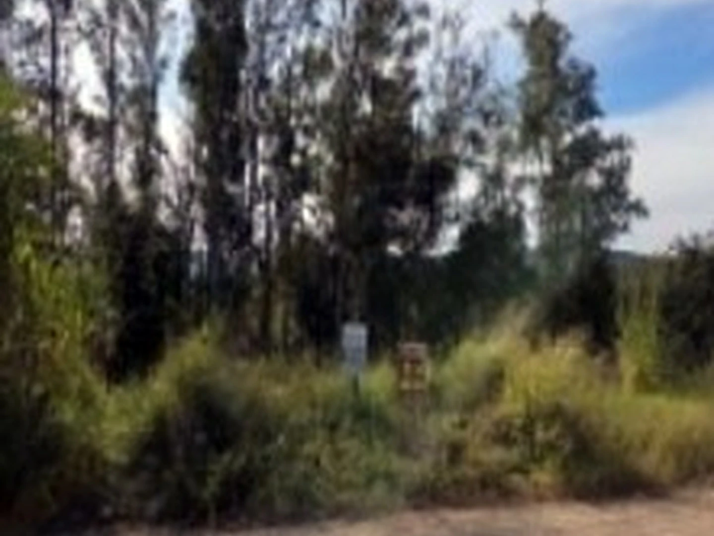 Terreno - Feliz, RS - foto 1
