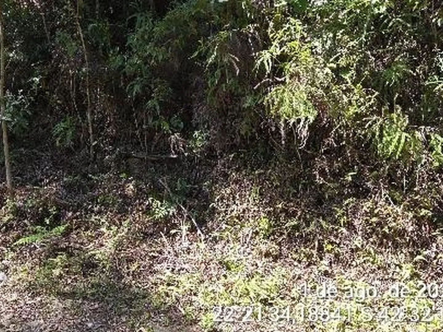 Terreno - Nova Friburgo, RJ - foto 1