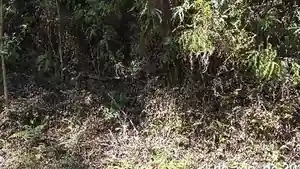 Terreno - Nova Friburgo, RJ