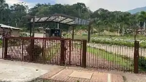Terreno - Teresopolis, RJ
