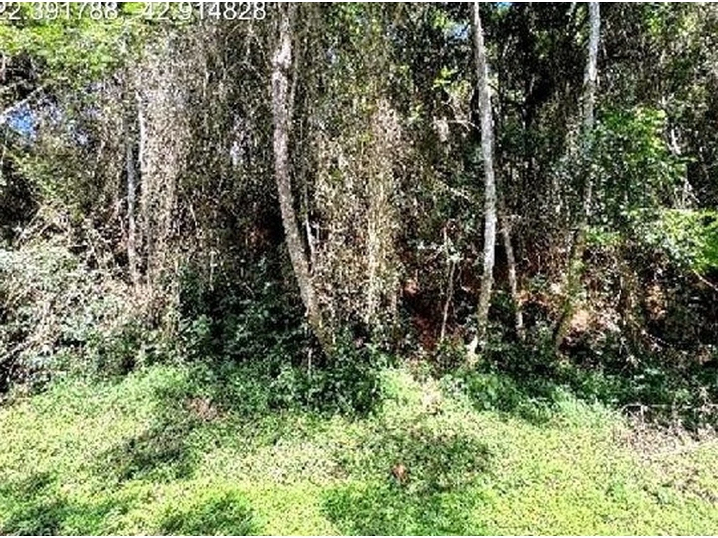 Terreno - Teresopolis, RJ - foto 1