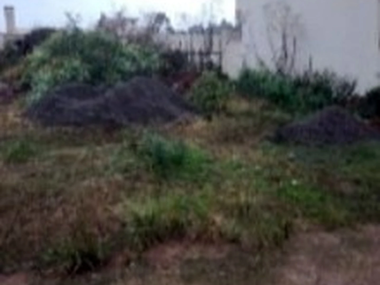 Terreno - Santiago, RS - foto 1