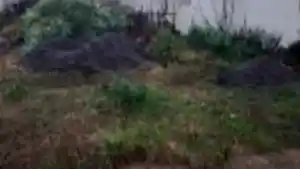 Terreno - Santiago, RS