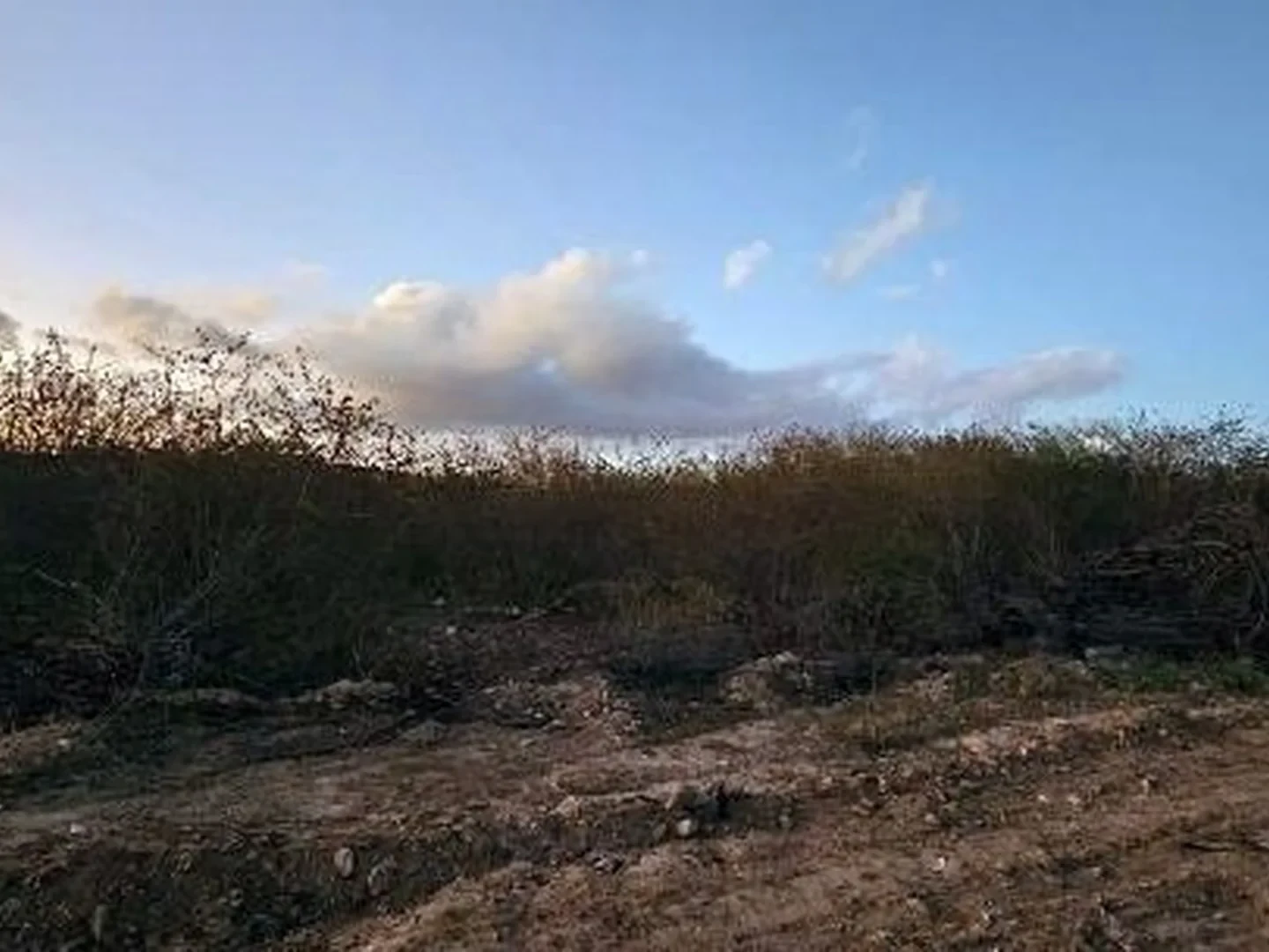 Terreno - Caruaru, PE - foto 1