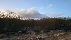 Terreno - Caruaru, PE