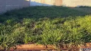 Terreno - Jaboticabal, SP