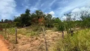 Terreno - Paudalho, PE