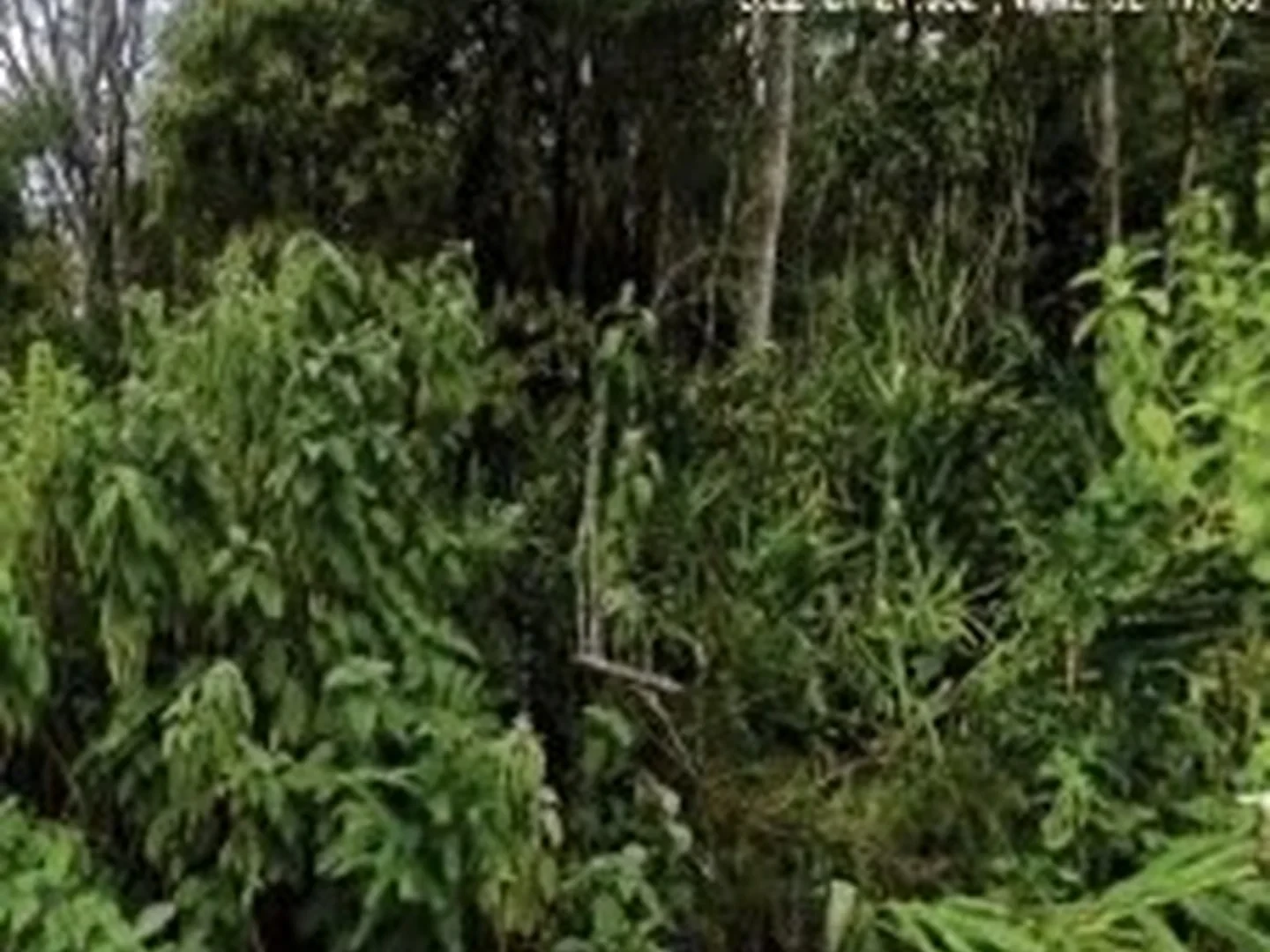 Terreno - Nova Friburgo, RJ - foto 1